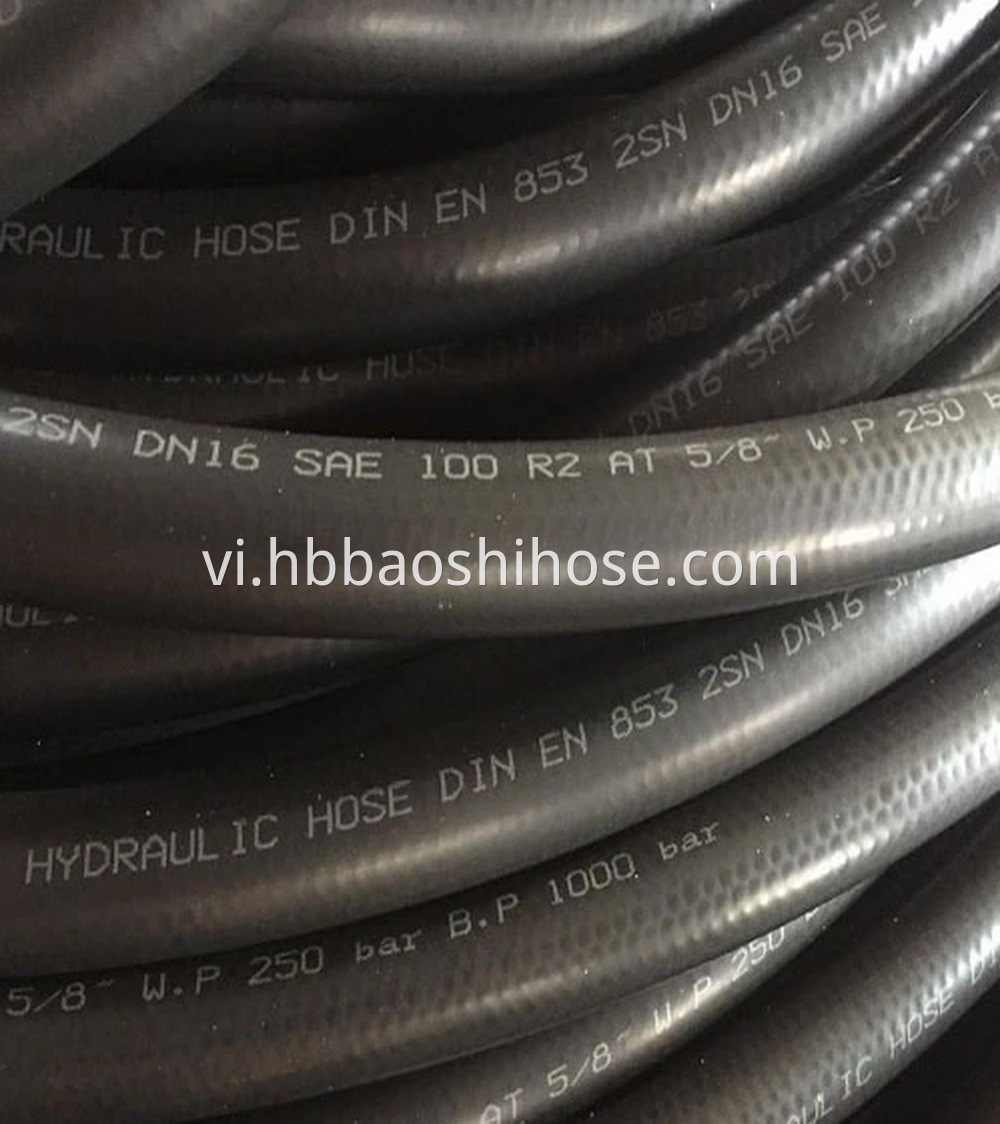 Coal Stand Hose Assembly